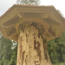 Holzbrunnen Bachleitner